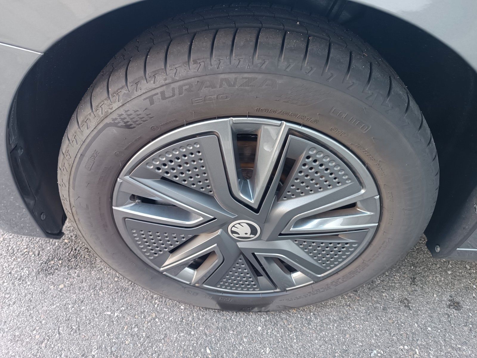 Fahrzeugabbildung SKODA Fabia Tour 1.0l TSI 85kW DSG LED,KAMERA,PDC,SHZ