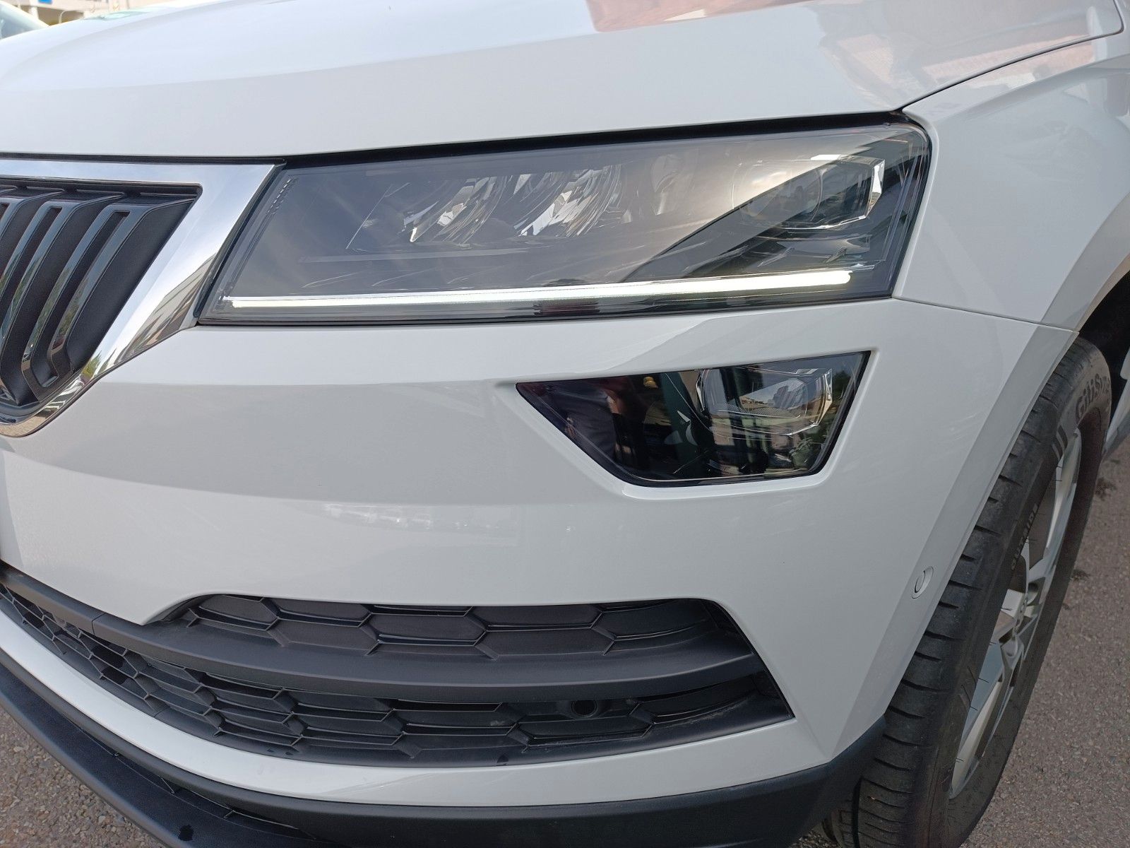 Fahrzeugabbildung SKODA Karoq Clever 2.0 TDI DSG 110kW 4x4 AHK, 360°