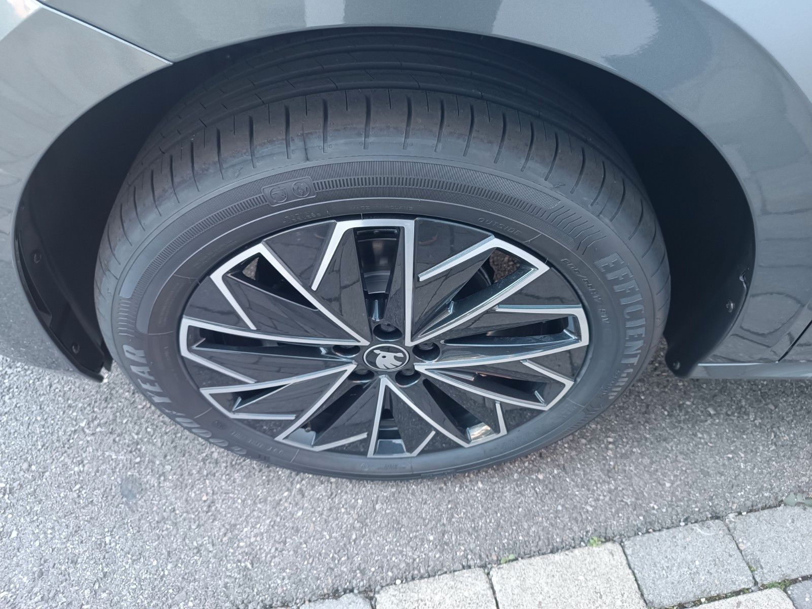Fahrzeugabbildung SKODA Kamiq Balance 1,0 TSI 85 kW DSG AHK,ACC,LED,SHZ